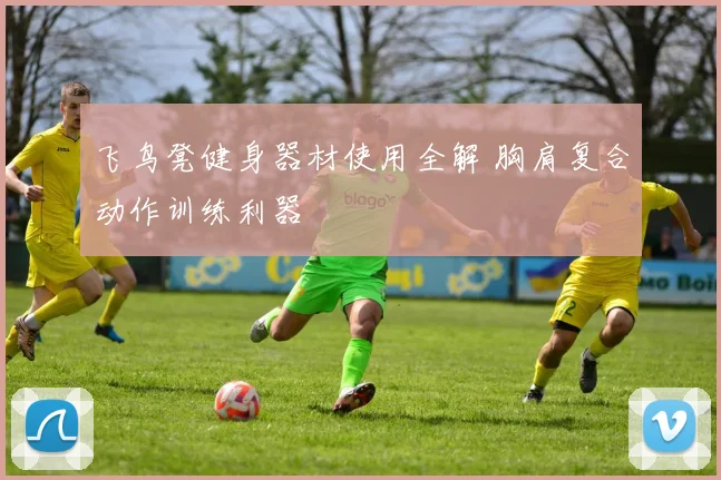 飞鸟凳健身器材使用全解 胸肩复合动作训练利器