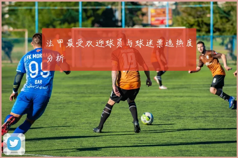 法甲最受欢迎球员与球迷票选热度分析