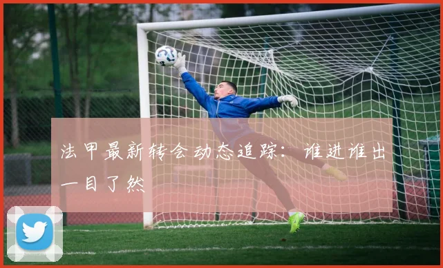 法甲最新转会动态追踪：谁进谁出一目了然