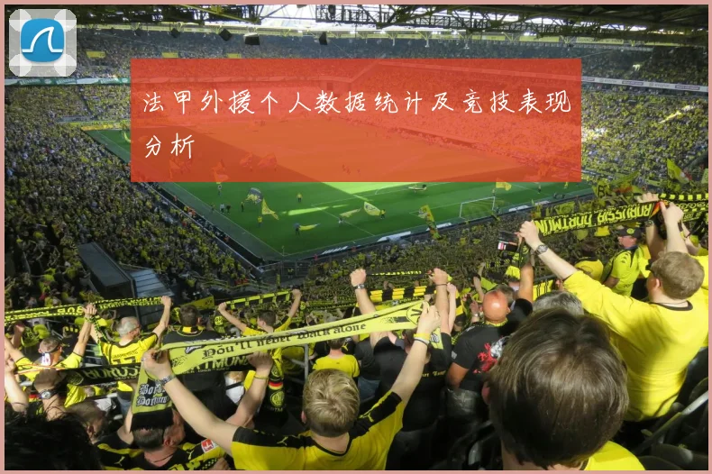 法甲外援个人数据统计及竞技表现分析